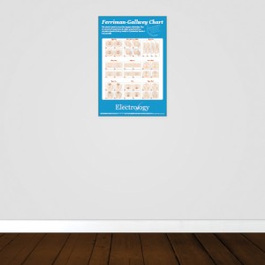 Hirsutism Chart Poster - Rated R - 24x36